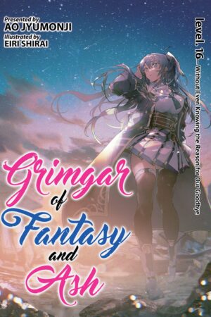 Grimgar of Fantasy and Ash (LN) Vol. 16