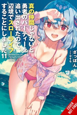 Banished from the Hero's Party, I Decided to Live a Quiet Life in the Countryside Vol. 11 (light novel)
