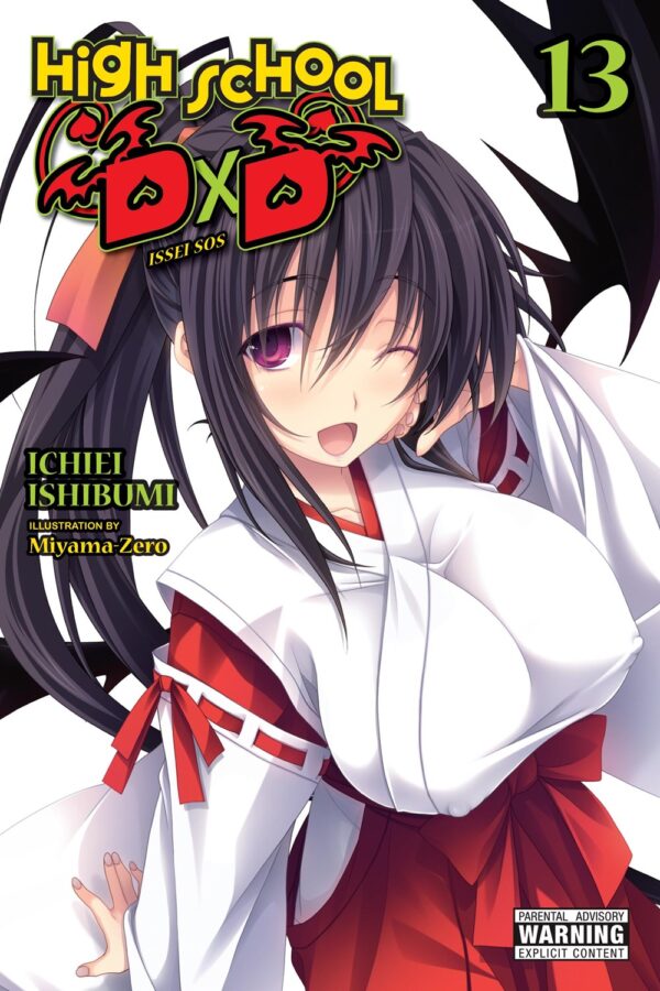 High School DxD Vol. 13 (light novel)