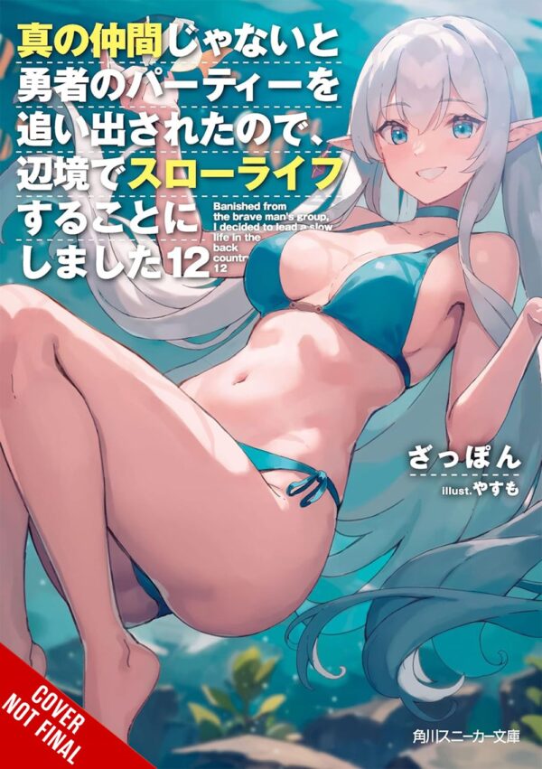 Banished from the Hero's Party, I Decided to Live a Quiet Life in the Countryside Vol. 12 (light novel)