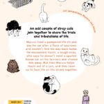 Cat Companions Maruru and Hachi Vol. 1 - Image 2