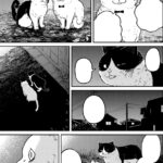 Cat Companions Maruru and Hachi Vol. 1 - Image 3