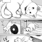 Cat Companions Maruru and Hachi Vol. 1 - Image 4