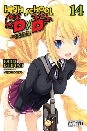 High School DxD Vol. 14 (light novel)