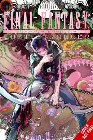 Final Fantasy Lost Stranger Vol. 11