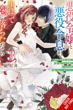 If the Villainess and Villain Met and Fell in Love Vol. 3 (light novel)