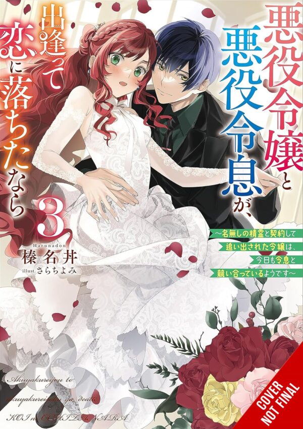 If the Villainess and Villain Met and Fell in Love Vol. 3 (light novel)