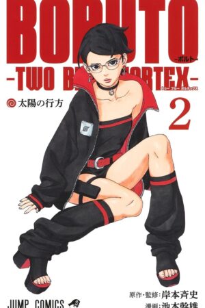 Boruto: Two Blue Vortex, Vol. 2