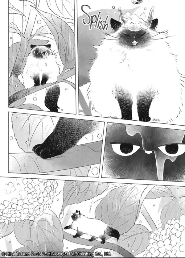 Fairy Cat Vol. 1 - Image 3