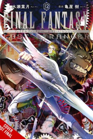 Final Fantasy Lost Stranger, Vol. 12