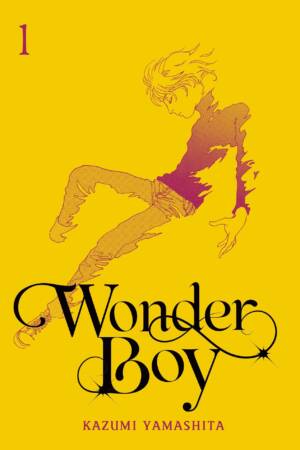 Wonder Boy, Vol. 1