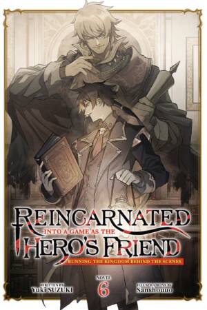 Reincarnated Into a Game as the Hero's Friend: Running the Kingdom Behind the Scenes (Light Novel) Vol. 6