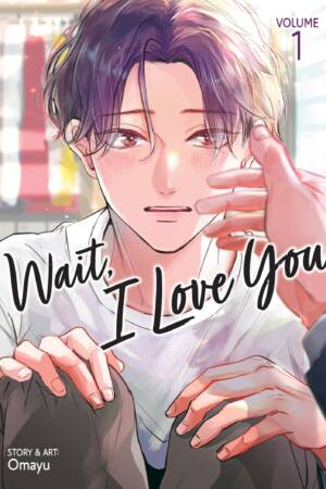 Wait, I Love You Vol. 1