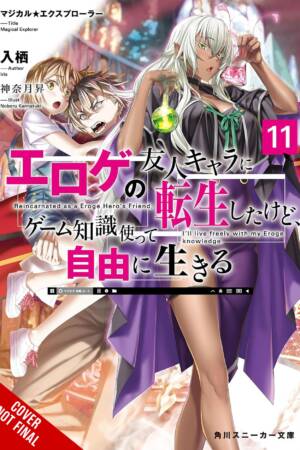 Magical Explorer, Vol. 11 (light novel)