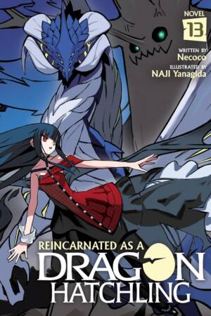 Reincarnated as a Dragon Hatchling (Light Novel) Vol. 13