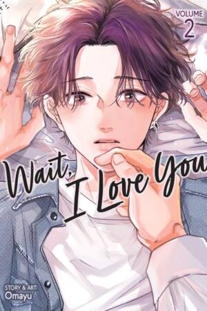 Wait, I Love You Vol. 2