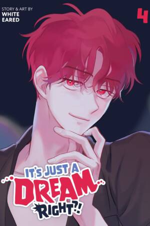 It's Just a Dream... Right?! (Comic) Vol. 4