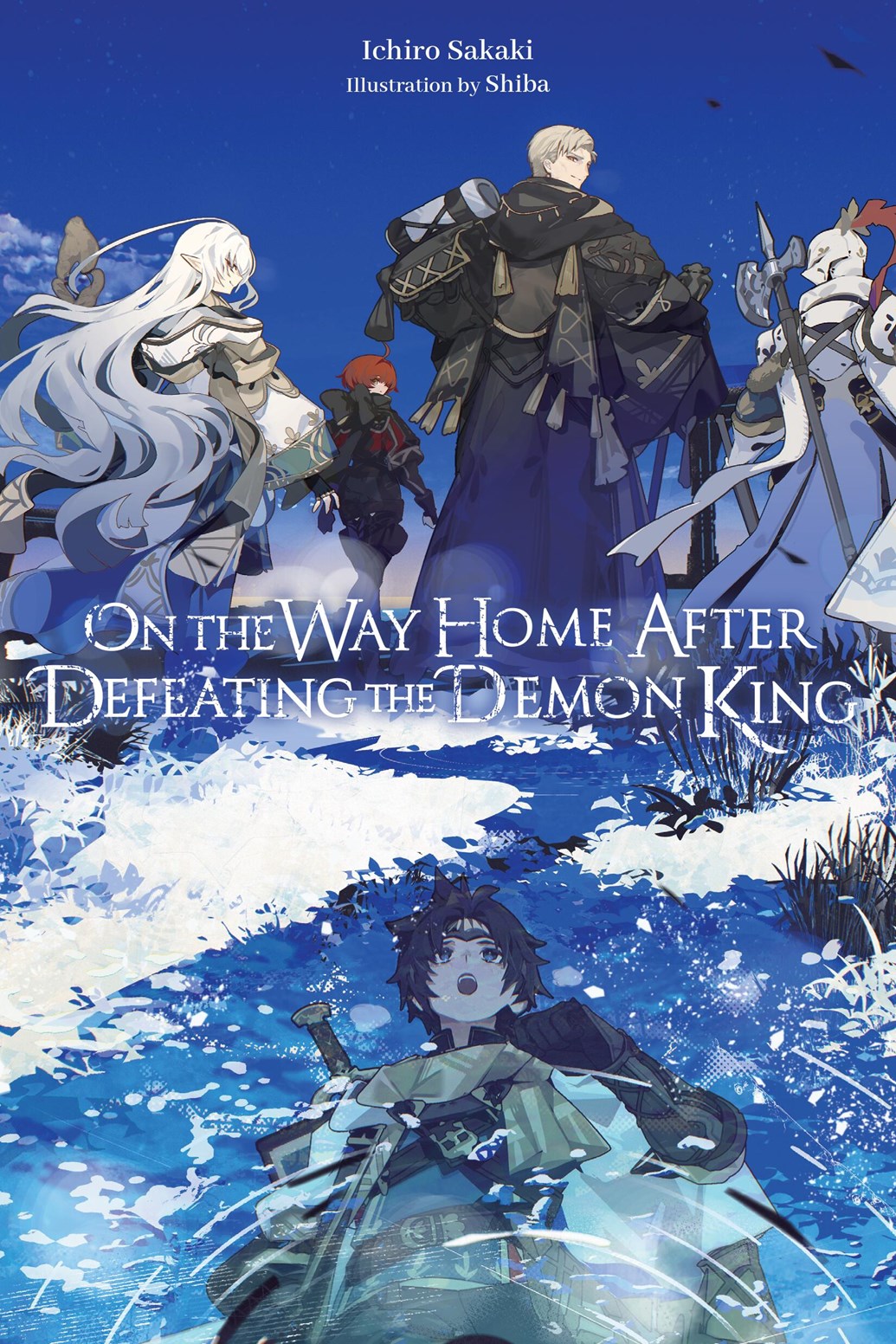 On the Way Home After Defeating the Demon King (light novel)