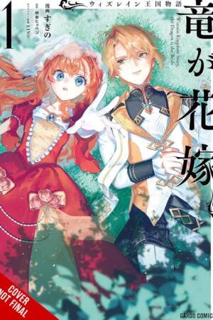Tale of the Wizrain Kingdom: The Dragon Is the Bride, Vol. 1