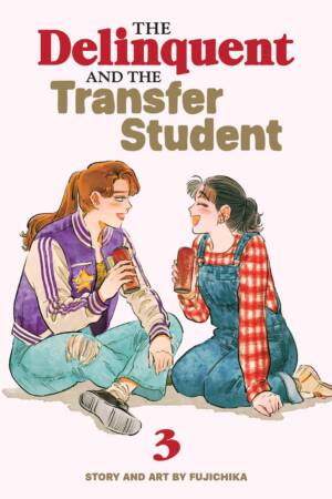 The Delinquent and the Transfer Student Vol. 3