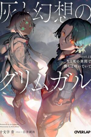 Grimgar of Fantasy and Ash (Light Novel) Vol. 22