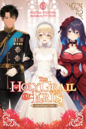 The Holy Grail of Eris, Vol. 6 (light novel)