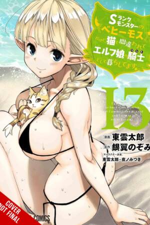 I'm a Behemoth, an S-Ranked Monster, but Mistaken for a Cat, I Live as an Elf Girl's Pet, Vol. 13 (manga)