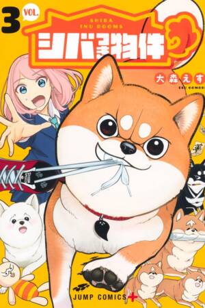 Shiba Inu Rooms, Vol. 3