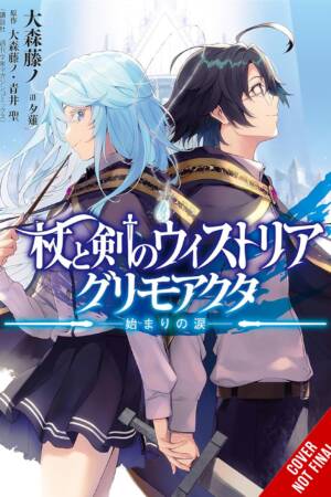 Wistoria: Wand and Sword (light novel)